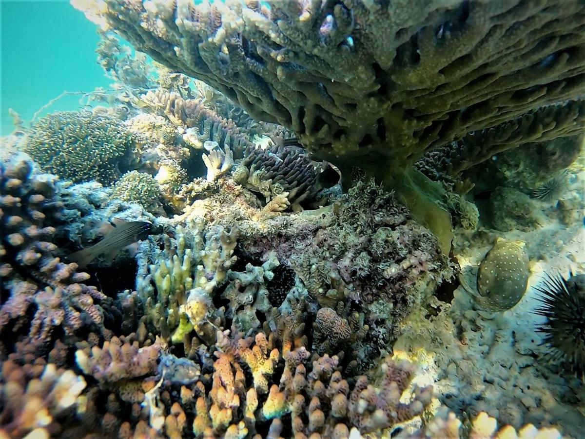 Casa Amihan Anda  Luaran gambar