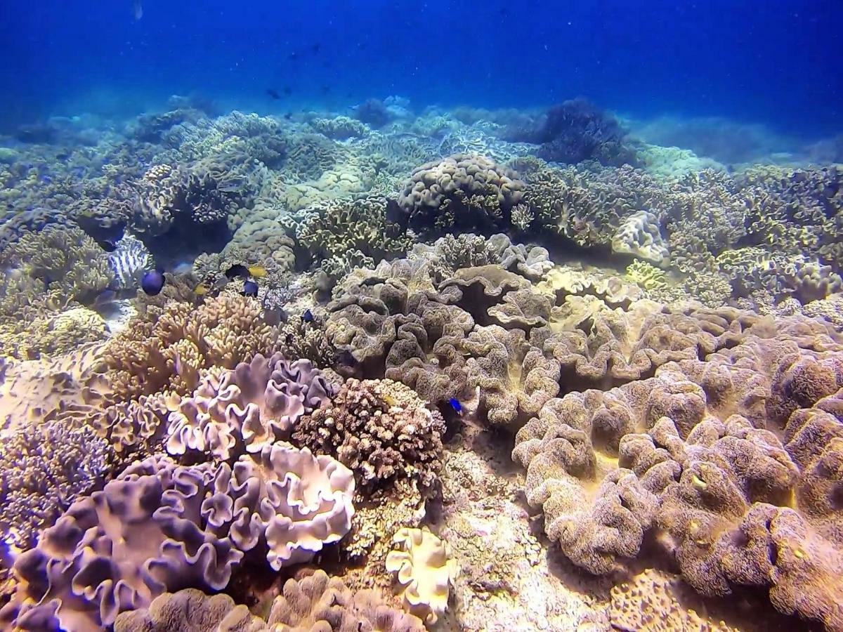 Casa Amihan Anda  Luaran gambar